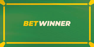 Maximize Your Earnings with the 1Win Partner Program